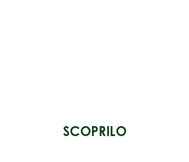 GRAFICA NUOVO MENÙ – CARD